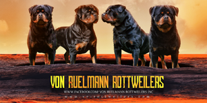 Von Ruelmann Von Ruelmann