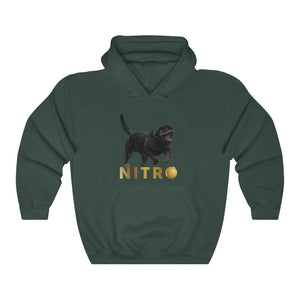 Nitro Unisex Heavy Blend™ Hooded Sweatshirt